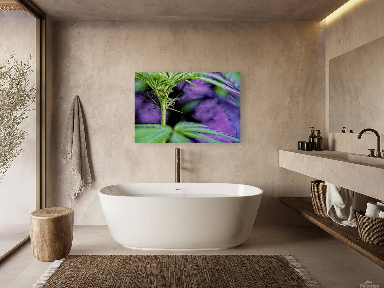 Young Female Marijuana  Flower Reproduction