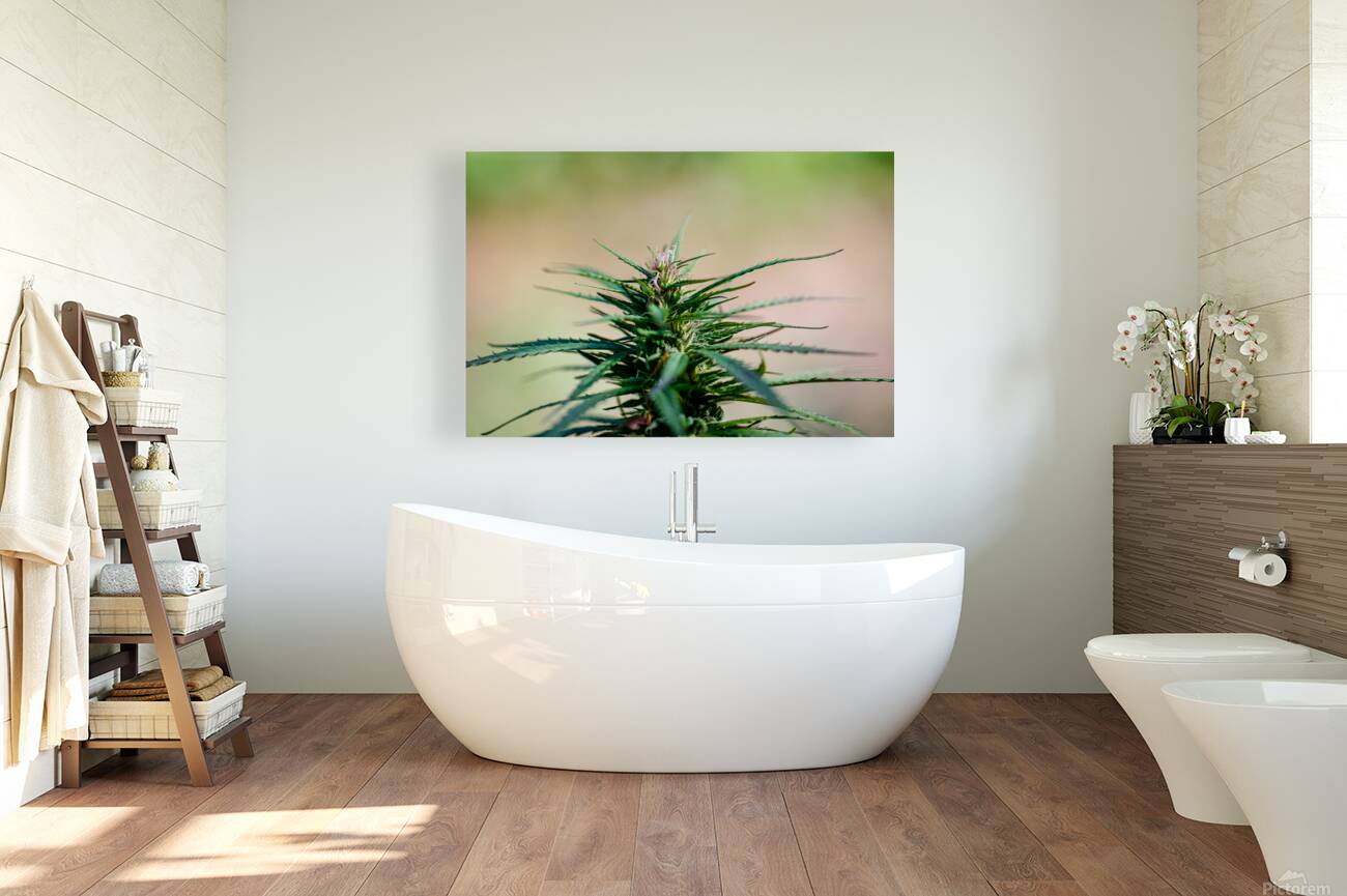 Botanical Elegance Reproduction