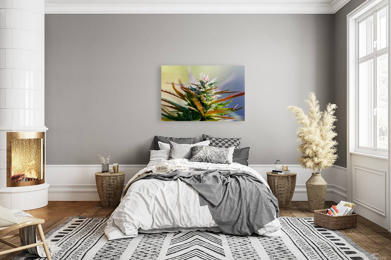 Gilded Garden  Reproduction