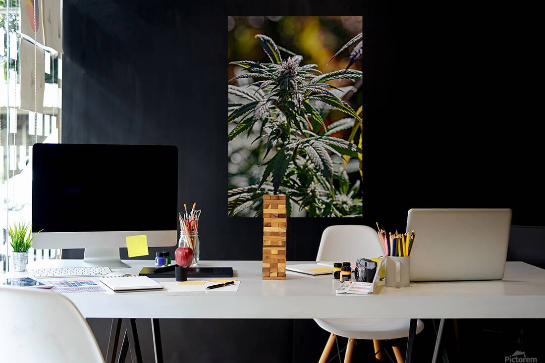 Vertical Portrait  Reproduction