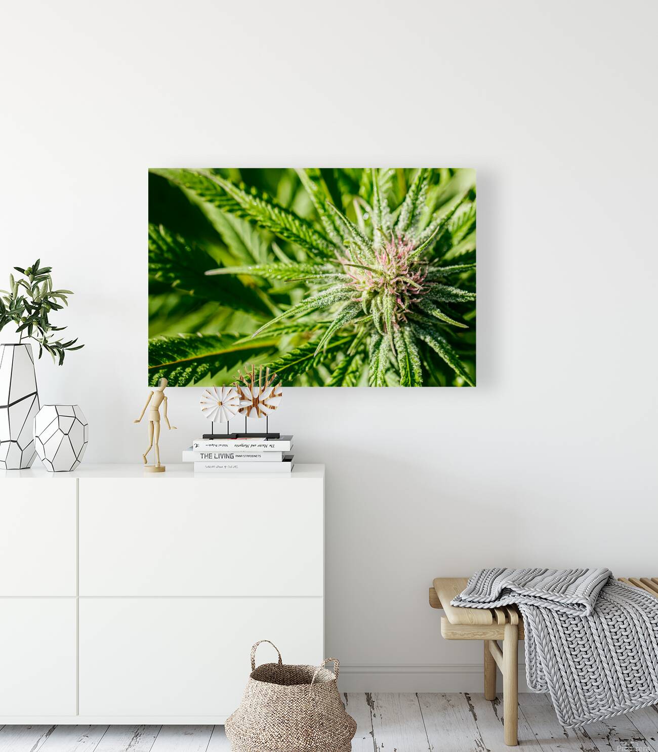 Dazzling display Reproduction