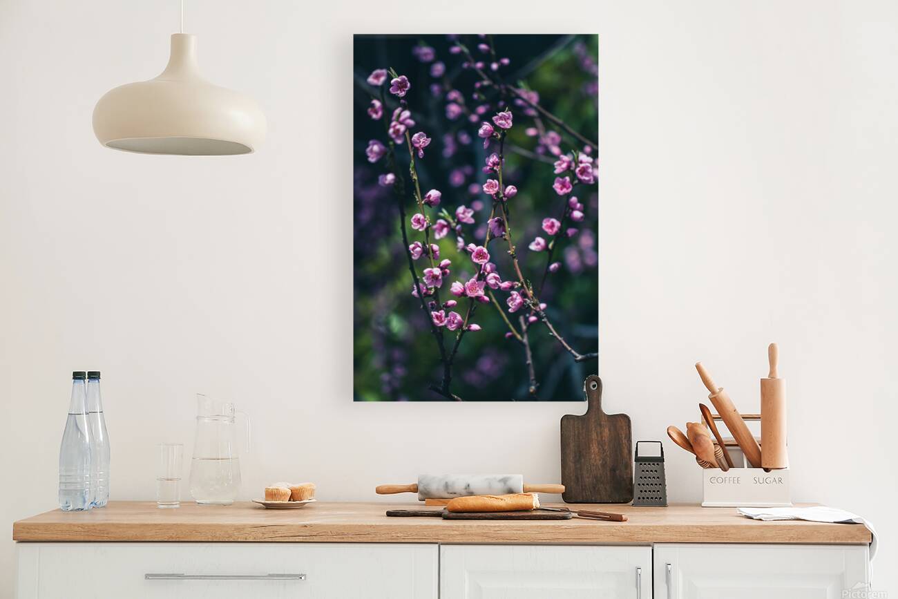 Serenity in Bloom: Meditations Among Peach Blossoms Reproduction