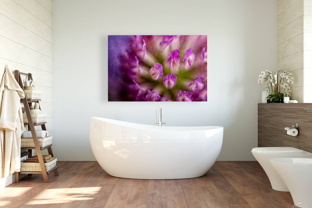 Painterly Purple Clover Reproduction