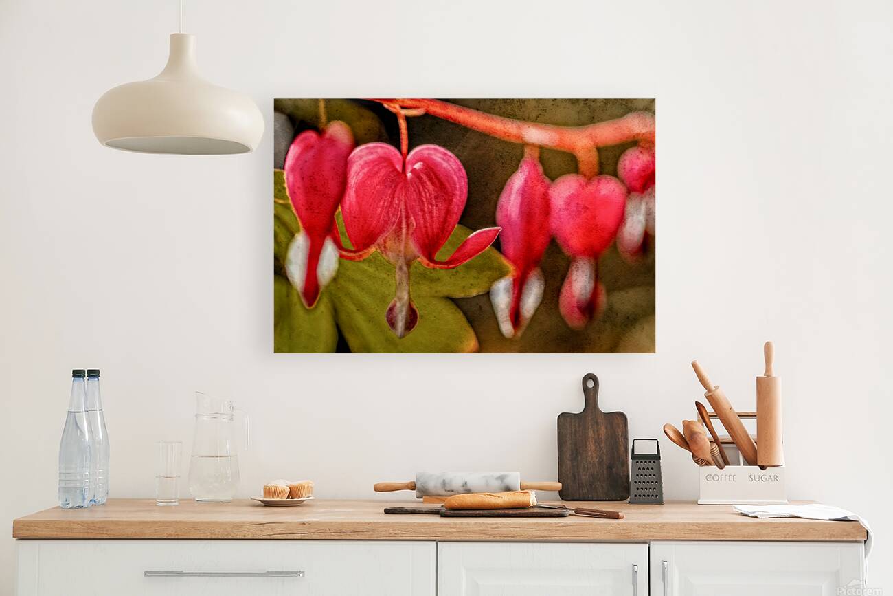 Bleeding Hearts  Reproduction