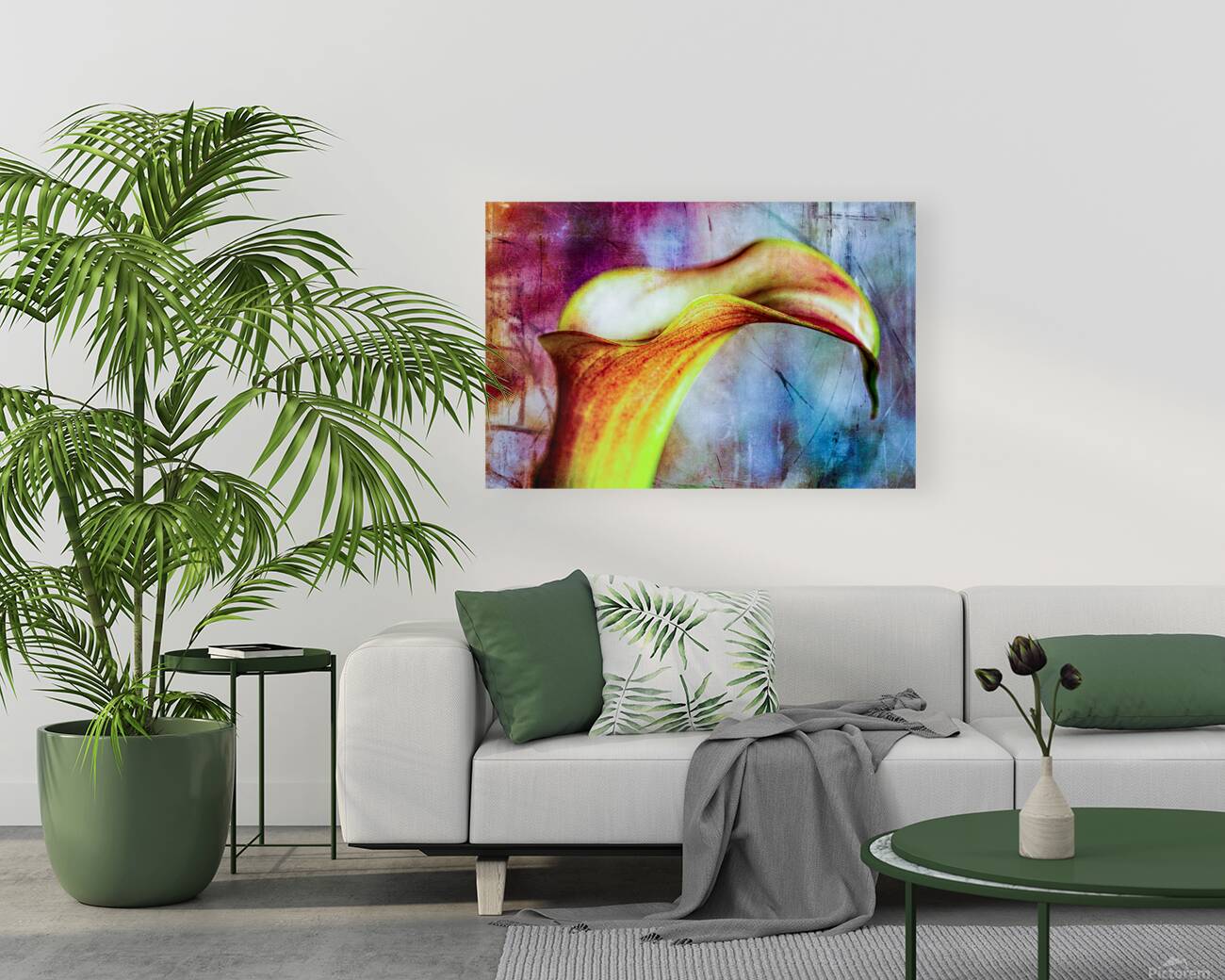 Yellow Calla Lilly Reproduction