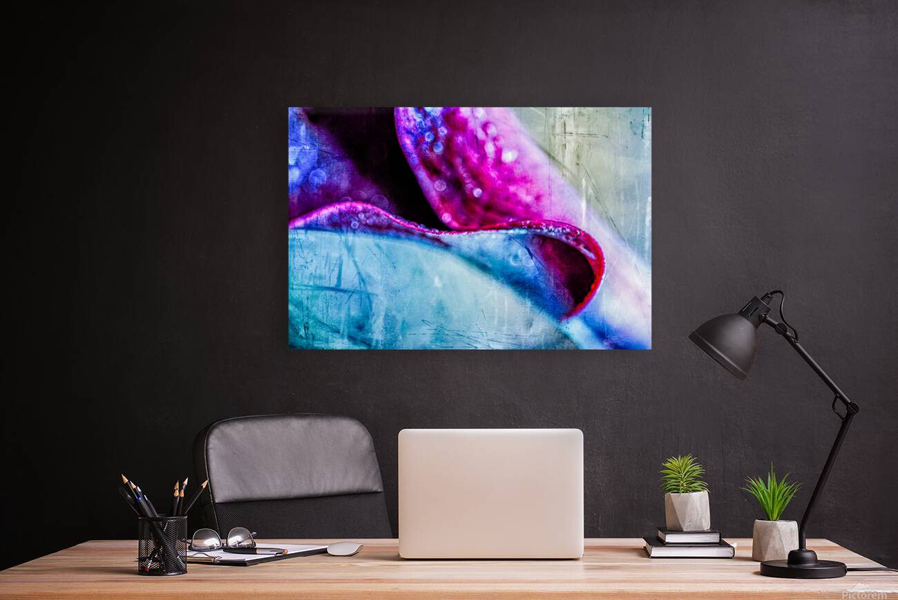 Abstracted Calla Lilly Reproduction