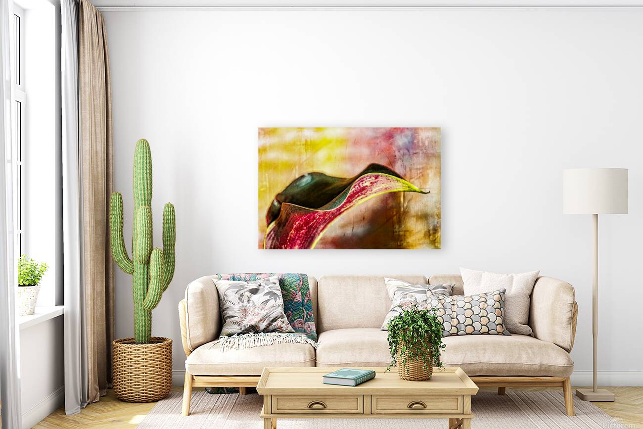 Black Calla Lilly  Reproduction