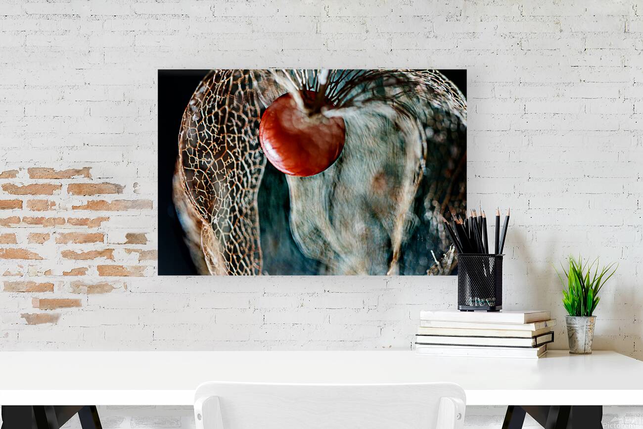 Lantern Seed revealed Print Reproduction