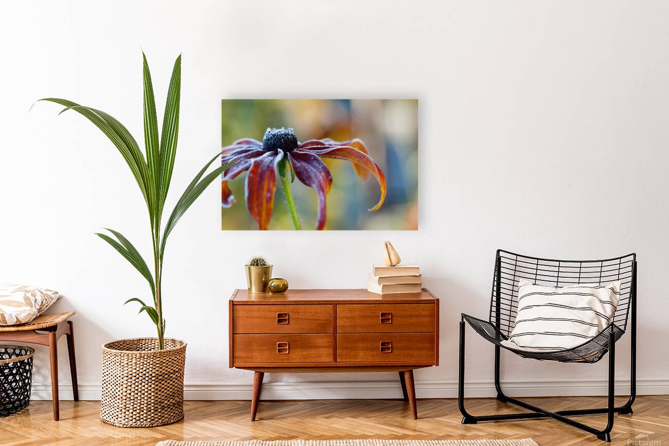 Frosted Flower print Reproduction
