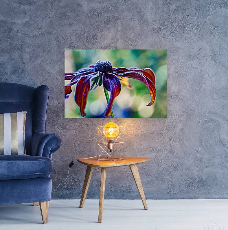 Frosted Black Eyed Susan Reproduction