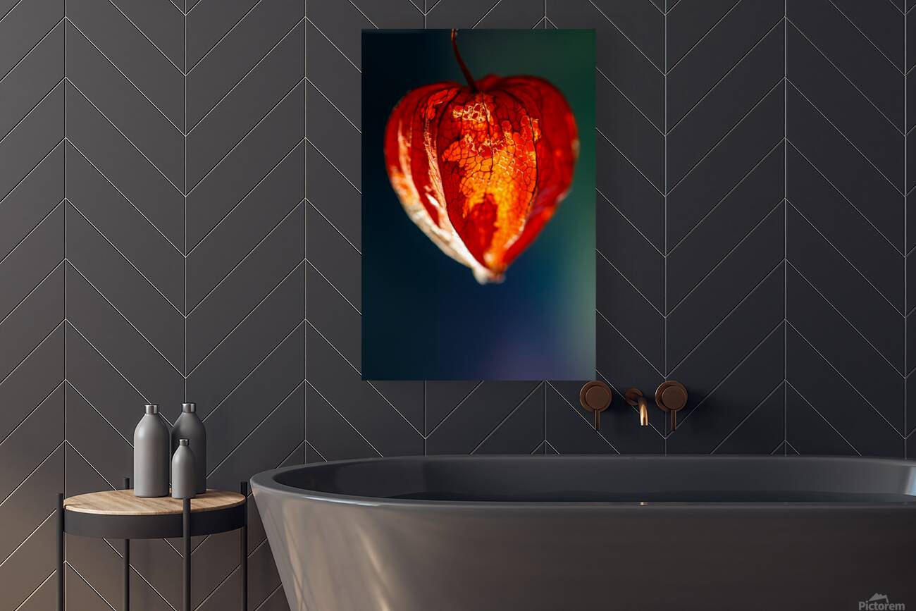 Bright Orange Lantern Flower Reproduction