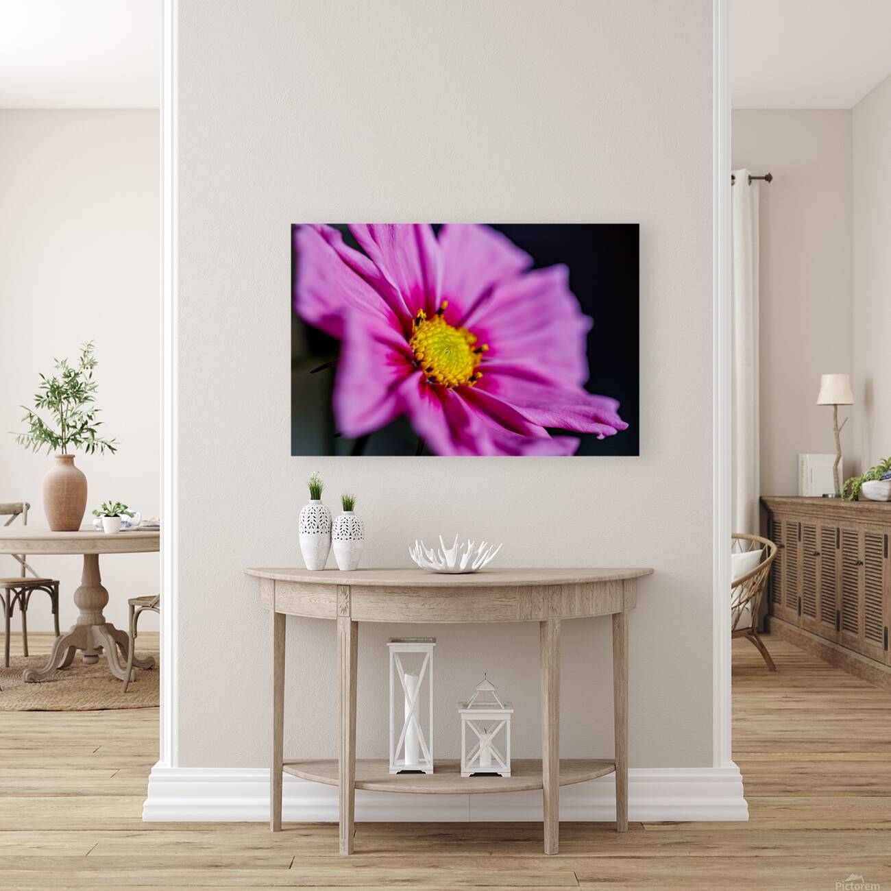 Pink Cosmos  Reproduction