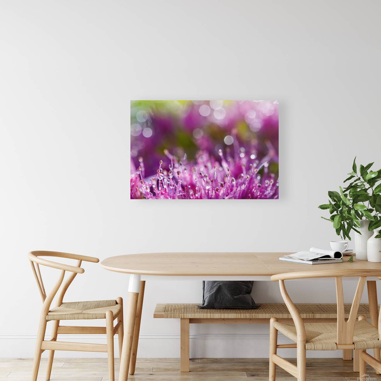 Pink succulent flowers Reproduction