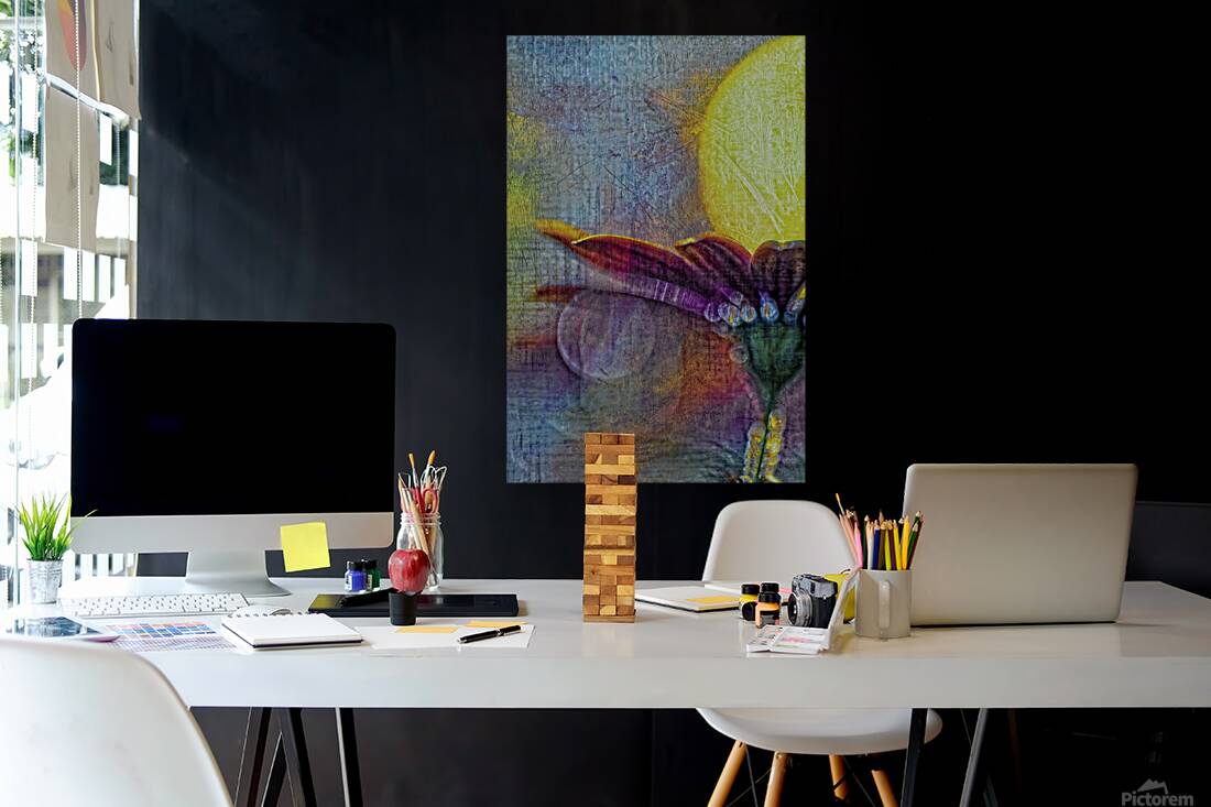Distressed Daisy In Blue. Reproduction