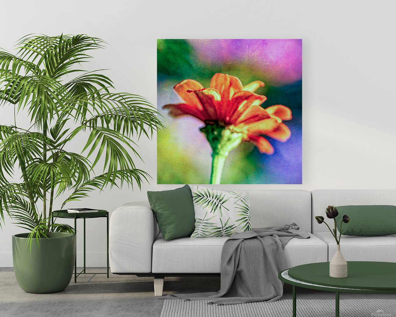 Orange flower  Reproduction