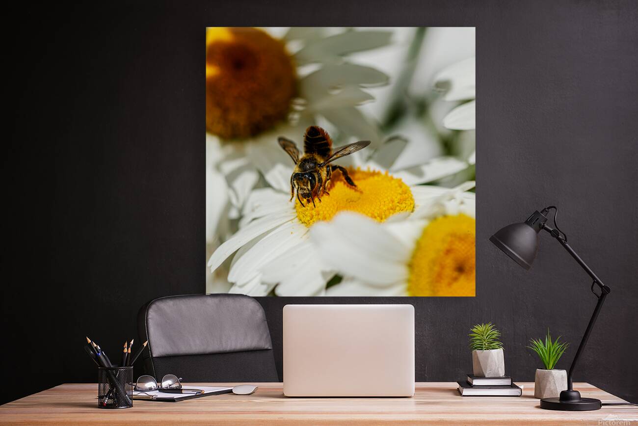 The Nectar Collector Reproduction