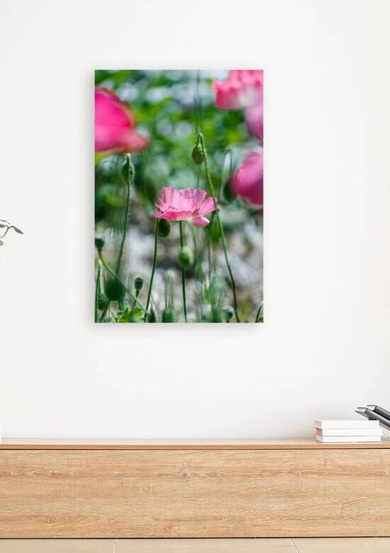 Whimsy in the garden: Poppy Landscapes by Heather Marie Clark