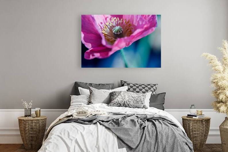 Poppys Secret Garden: Stamen and Pistil Close-Up by Heather Marie Clark