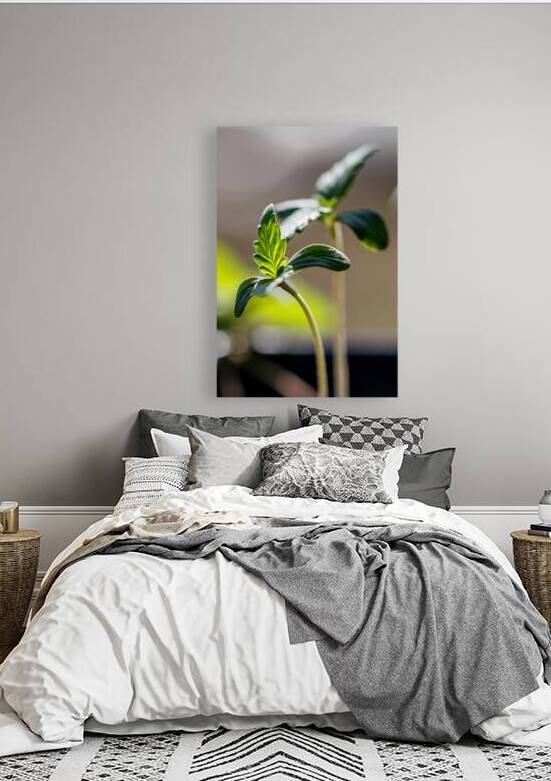 Sprouting Splendor: Early Growth by Heather Marie Clark