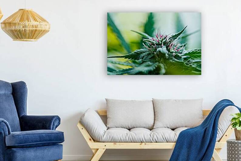 Botanical Symphony by Heather Marie Clark