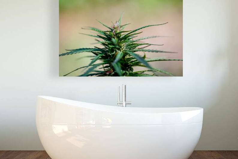 Botanical Elegance by Heather Marie Clark