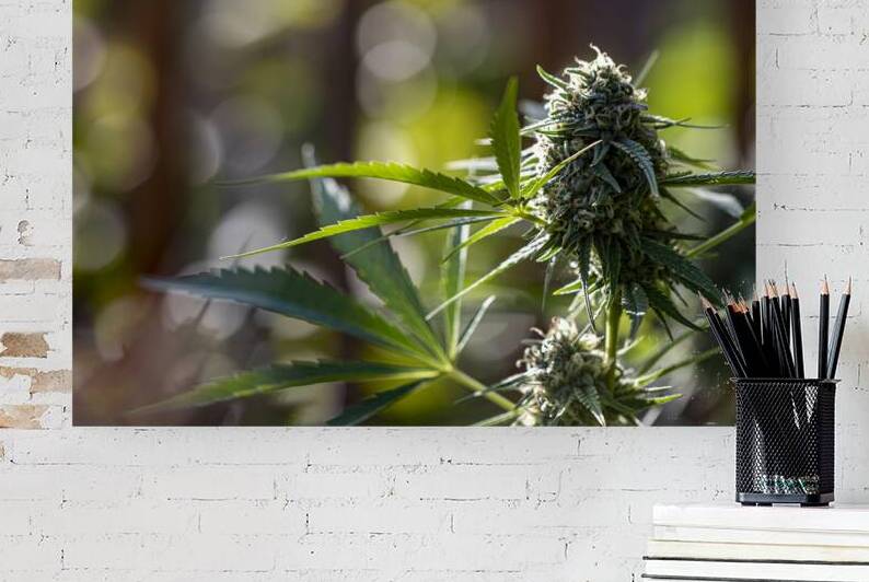 Mary Jane in the Garden by Heather Marie Clark