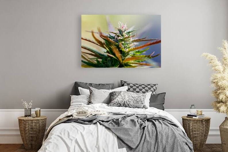 Gilded Garden  by Heather Marie Clark