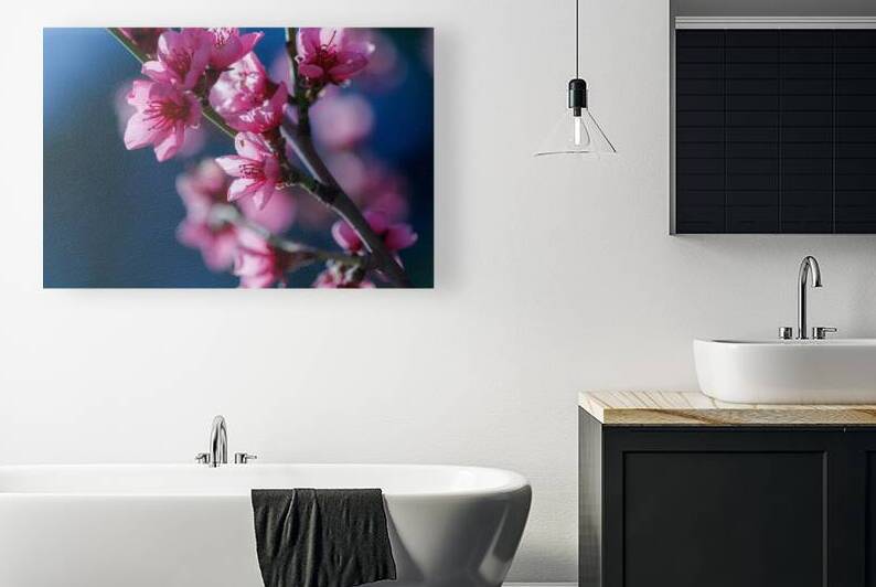 Awakening Dreams: The Inspirational Beauty of Peach Blossoms   by Heather Marie Clark