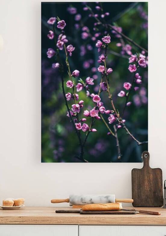 Serenity in Bloom: Meditations Among Peach Blossoms by Heather Marie Clark