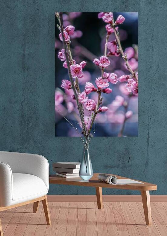 Soothe Your Space: Peach Blossoms for Stress-Free Living by Heather Marie Clark