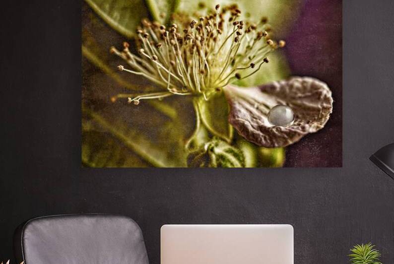 Rain Drop Held by a Black Berry Petal by Heather Marie Clark