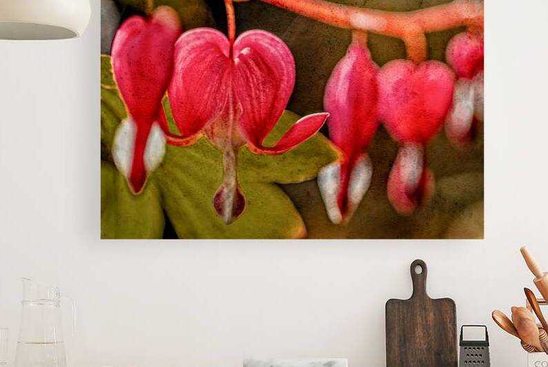 Bleeding Hearts  by Heather Marie Clark