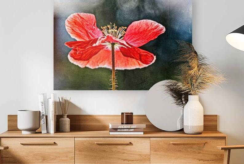 Painterly Poppy by Heather Marie Clark