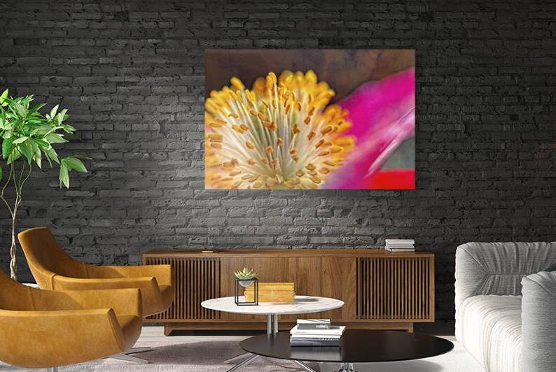 Vibrant Pink Poppy by Heather Marie Clark