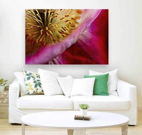 Poppy on the diagonal by Heather Marie Clark