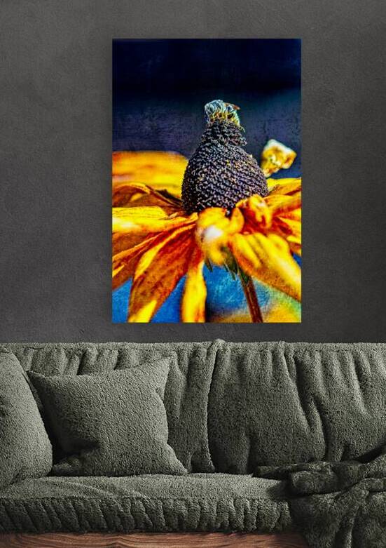 Golden Harvest: : Bee on Black Eyed Susan Flower by Heather Marie Clark
