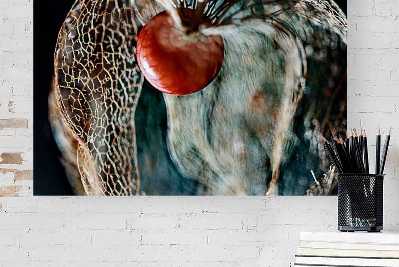 Lantern Seed revealed Print by Heather Marie Clark