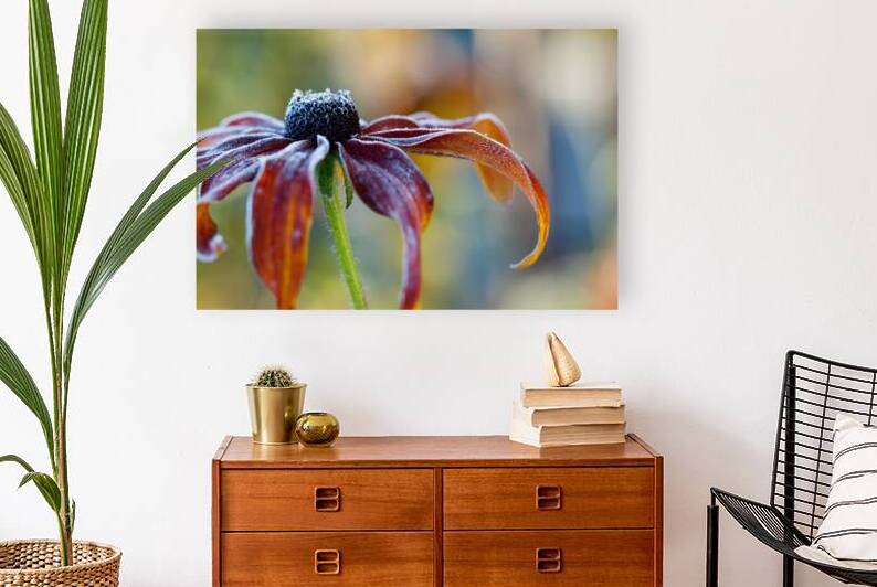 Frosted Flower print by Heather Marie Clark