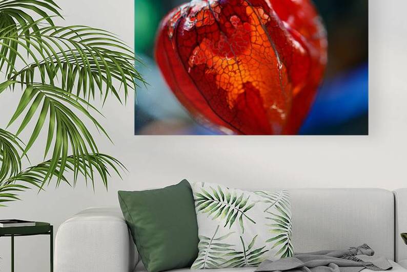 Vibrant Japanese Lantern by Heather Marie Clark