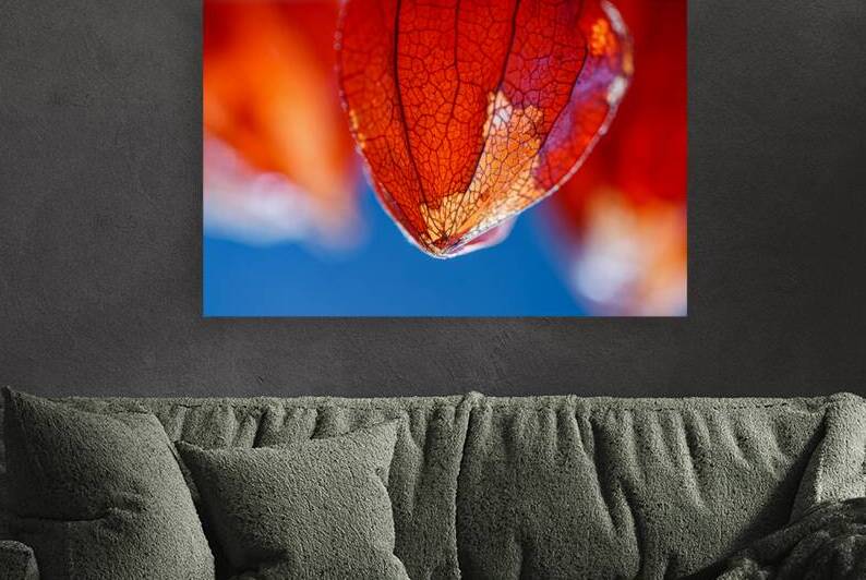 Winter Cherry: Illuminated Patina by Heather Marie Clark