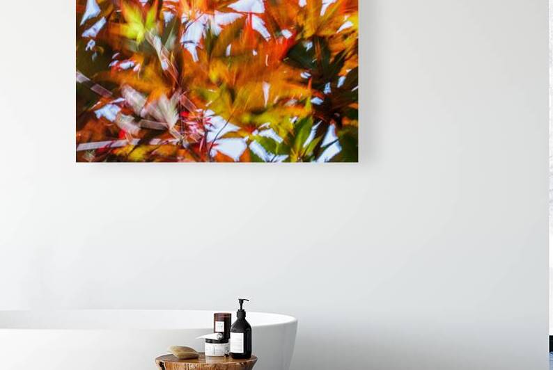 Kinetic Maple Abstract by Heather Marie Clark