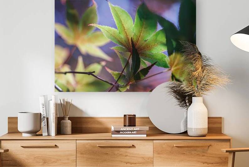Color transitions 1  by Heather Marie Clark