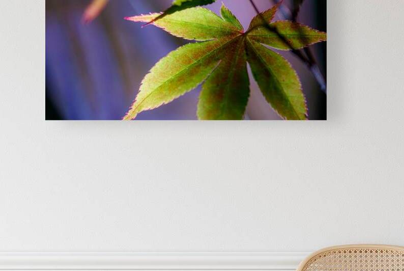 Color transitions 2 by Heather Marie Clark