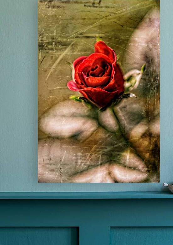 Embrace of the Heart by Heather Marie Clark