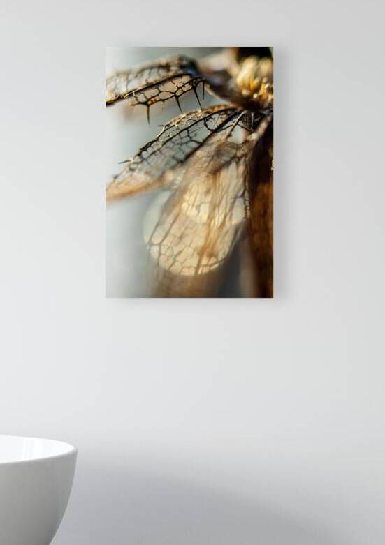 Portrait of a flowers remains by Heather Marie Clark