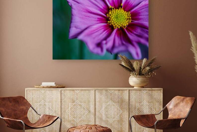 Cosmos off center by Heather Marie Clark