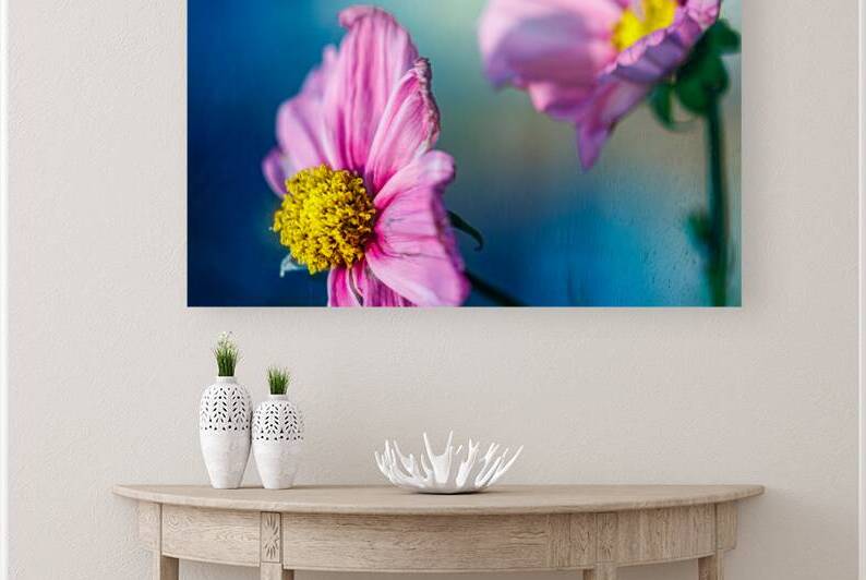 Cosmos against a glass sky by Heather Marie Clark