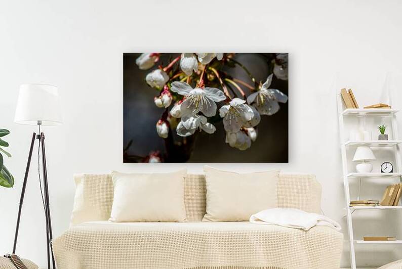 beautiful dainty blossoms by Heather Marie Clark