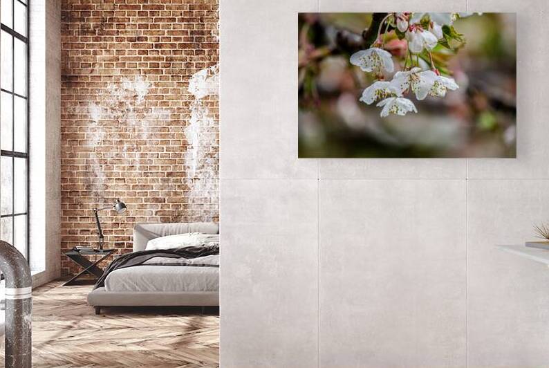 Pastels of Spring by Heather Marie Clark