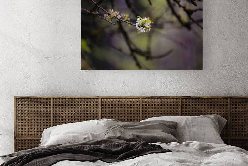 Last of the blossoms by Heather Marie Clark